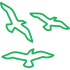 birds_icon