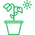 plant_icon