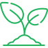 sprout_icon